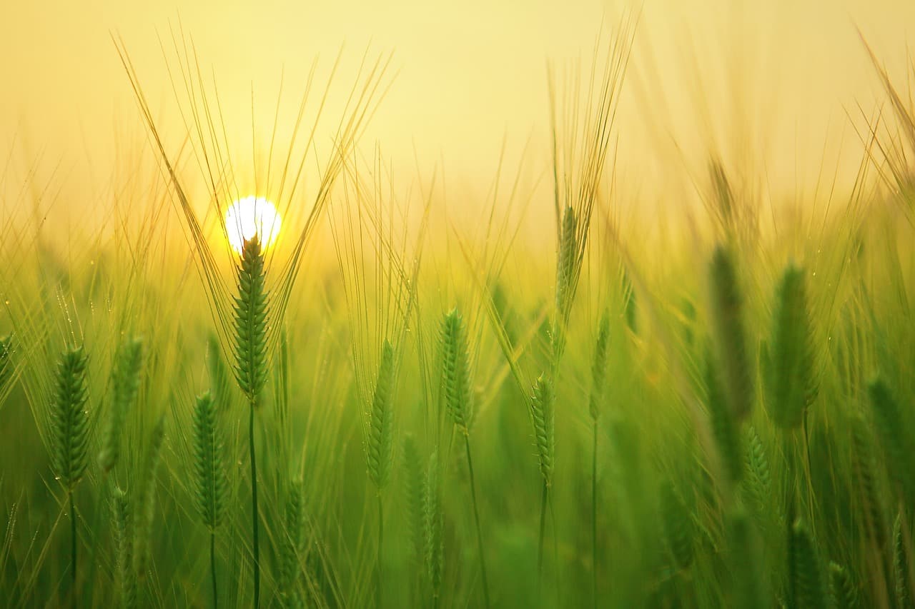 PAM for Agriculture: Erosion & Retention
