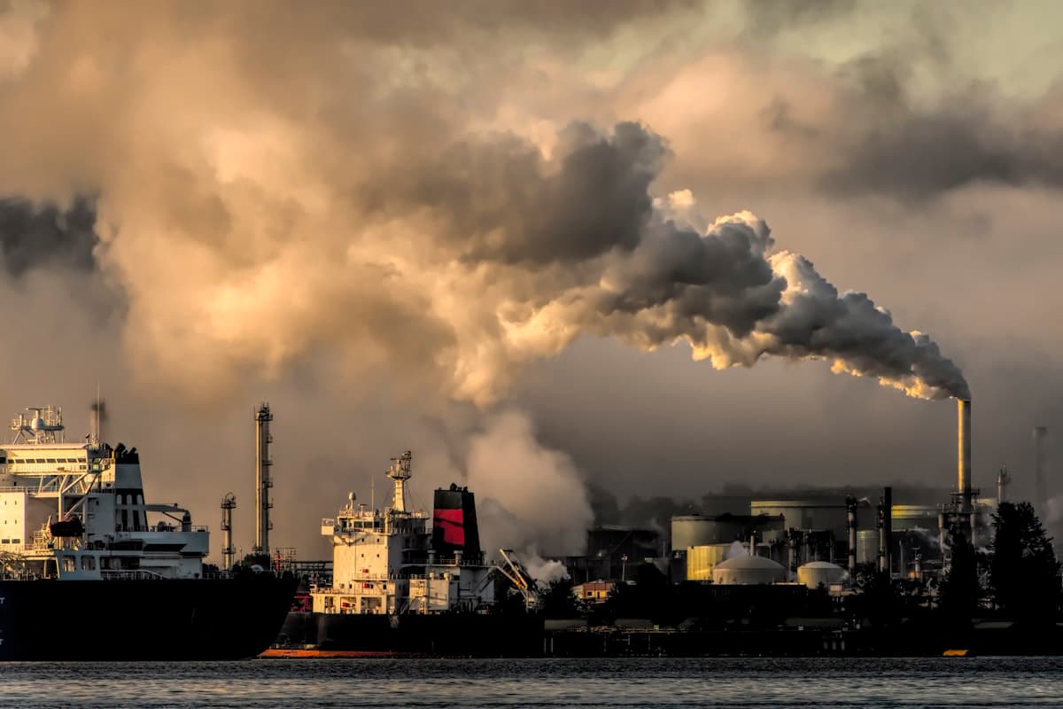 PAM for Coal Washing: Selection & Dosage