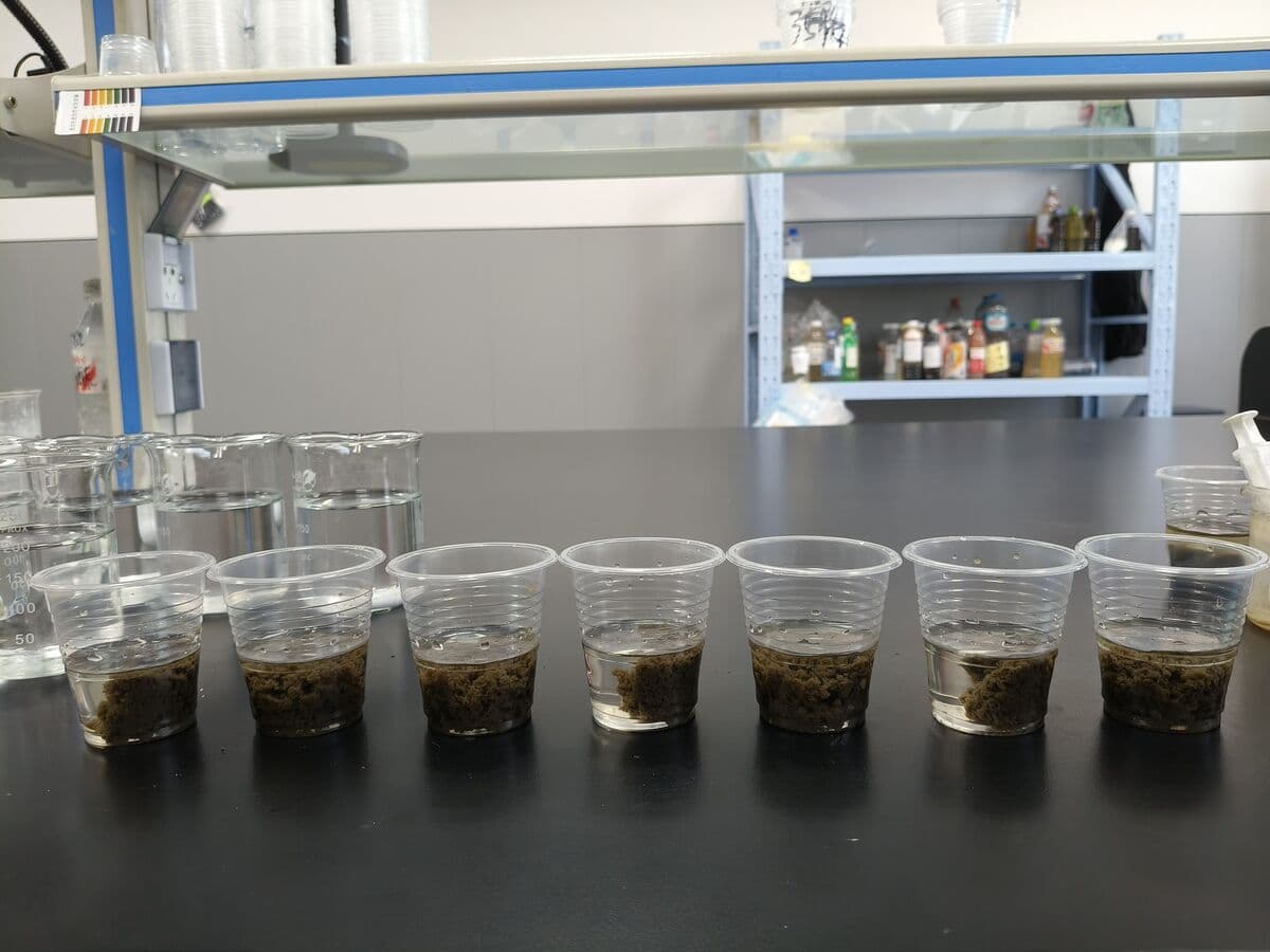 The same paper mill water sample after polymer addition in a bench jar test, showing formed flocs and clearer supernatant