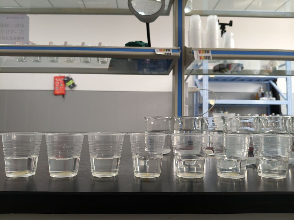 PAM jar test for municipal wastewater treatment